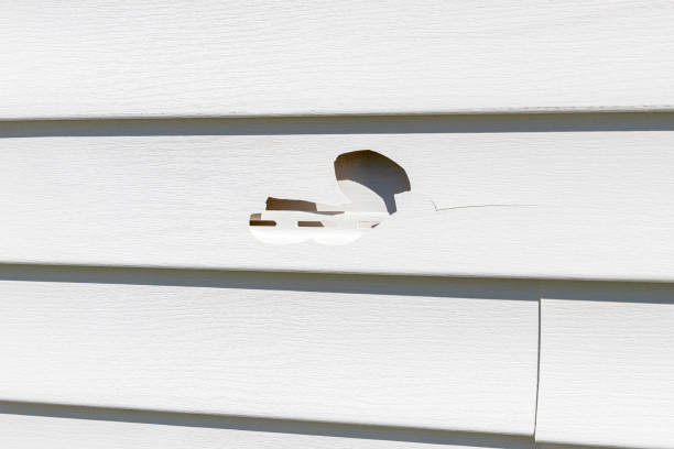 Best Siding Painting and Refinishing  in Jackson, LA